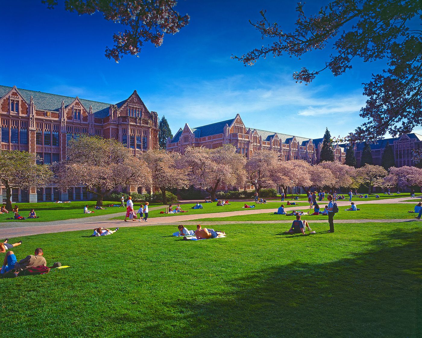 The University of Washington Seattle & Bothell Campuses Portrait